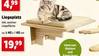 Thomas Philipps Liegeplatz Angebot