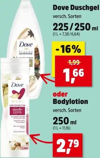 Thomas Philipps Dove duschgel oder bodylotion Angebot