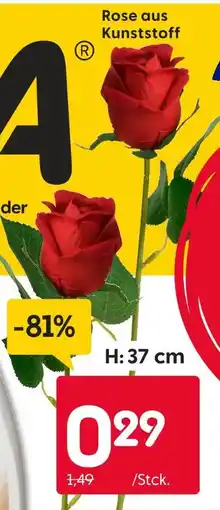 Rusta Rose Angebot