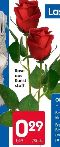 Rusta Rose Angebot