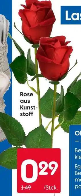 Rusta Rose Angebot