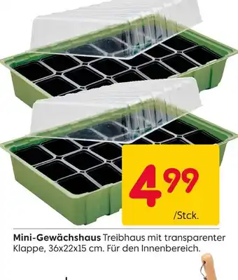 Rusta Mini-gewächshaus Angebot