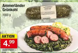 Zimmermann Ammerländer grünkohl Angebot