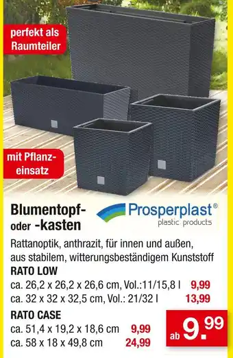 Zimmermann Prosperplast blumentopf oder -kasten Angebot