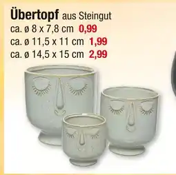 Zimmermann Übertopf Angebot