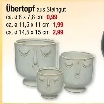 Zimmermann Übertopf Angebot