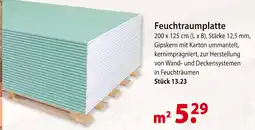 bauSpezi Feuchtraumplatte Angebot