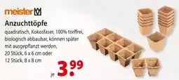 bauSpezi Meister anzuchttöpfe Angebot