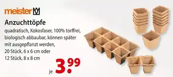 bauSpezi Meister anzuchttöpfe Angebot