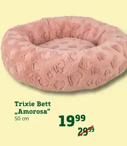 Pflanzen Kölle Trixie bett amorosa Angebot