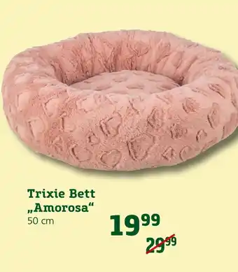 Pflanzen Kölle Trixie bett amorosa Angebot