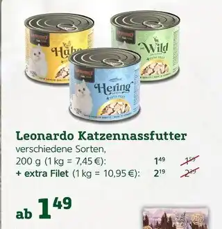 Pflanzen Kölle Leonardo katzennassfutter Angebot