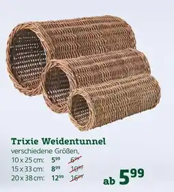 Pflanzen Kölle Trixie weidentunnel Angebot