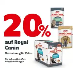 Das Futterhaus Royal canin 20% rabatt Angebot