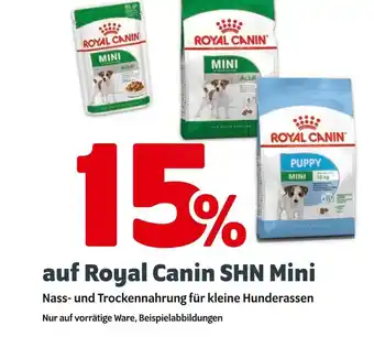 Das Futterhaus Royal canin 15% Angebot