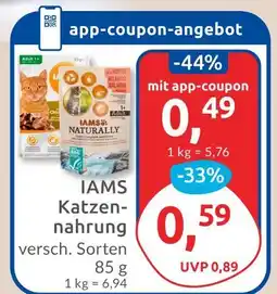 Budni Iams katzennahrung Angebot