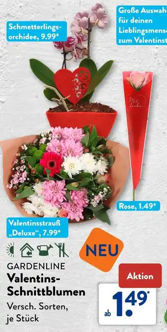 Aldi Süd GARDENLINE Valentins Schnittblumen Angebot