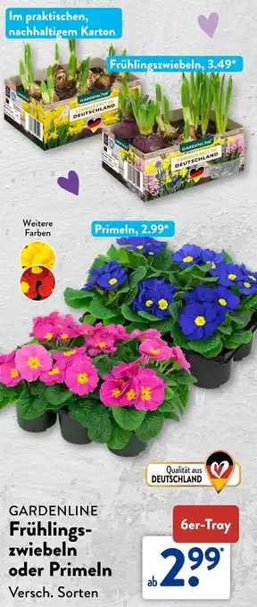 Aldi Süd GARDENLINE Frühlingszwiebeln oder Primeln Angebot