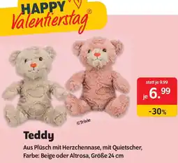 Das Futterhaus Teddy Angebot