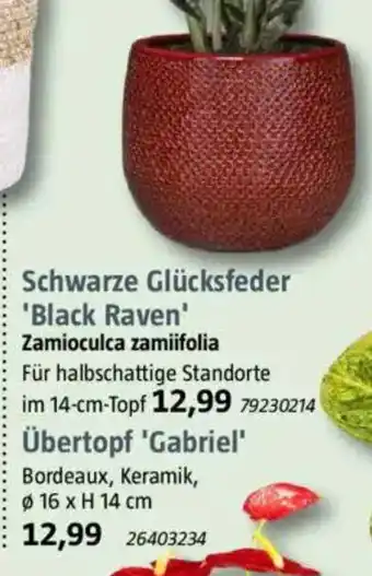 Bauhaus Übertopf 'Gabriel' Angebot