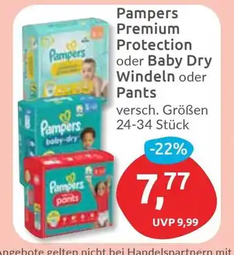 Budni Pampers Premium Protection oder Baby Dry Windeln oder Pants Angebot