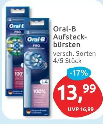 Budni Oral B Aufsteckbürsten Angebot