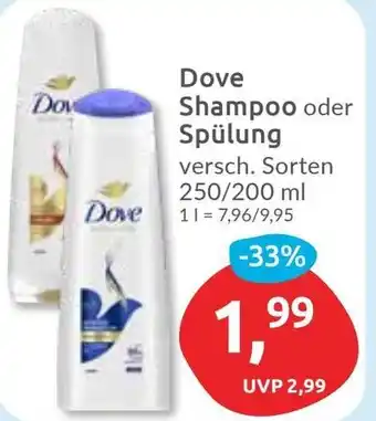 Budni Dove Shampoo oder Spülung Angebot