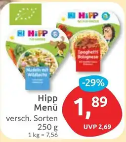 Budni Hipp Menü Angebot