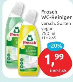 Budni Frosch WC-Reiniger Angebot