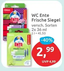 Budni WC Ente Frische Siegel Angebot