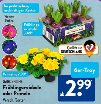 Aldi Süd GARDENLINE Frühlingszwiebeln oder Primeln Angebot