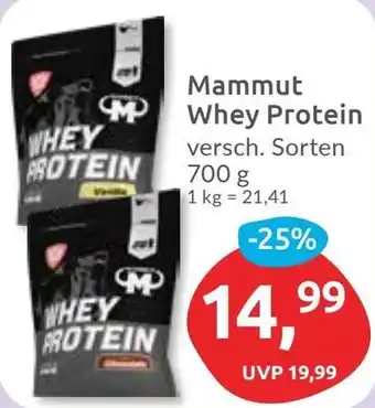 Budni Mammut Whey Protein Angebot