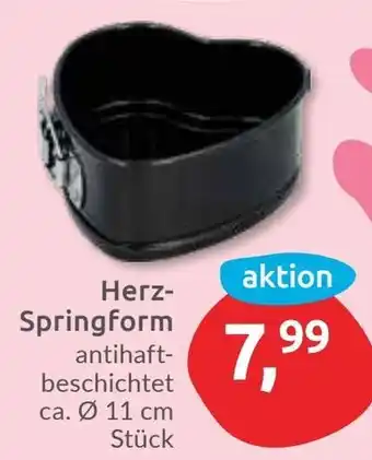 Budni Herz- Springform Angebot