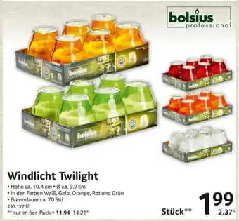 Selgros bolsius professional Windlicht Twilight Angebot