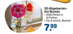 Rossmann 3D-Bügelperlen- Set Blumen Angebot