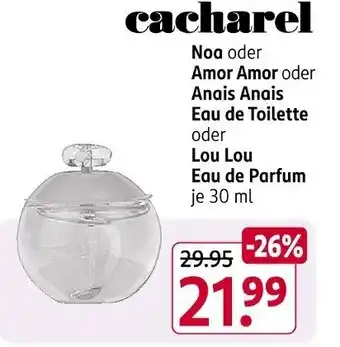 Rossmann Noa oder Amor Amor oder Anais Anais Eau de Toilette Angebot