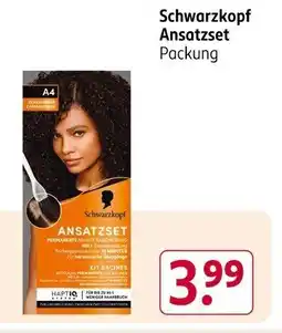 Rossmann Schwarzkopf Ansatzset Angebot