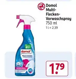 Rossmann Domol Multi- Flecken- Vorwaschspray Angebot