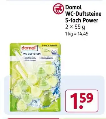 Rossmann Domol WC-Duftsteine 5-fach Power Angebot