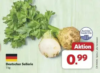 Combi Deutscher Sellerie Angebot