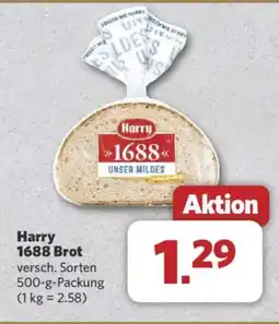 Combi Harry 1688 Brot Angebot