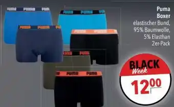 CITTI Markt Puma Boxer Angebot