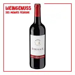 Netto Marken-Discount Baron Philippe de Rothschild Bordeaux Rouge AOC 13,0 % vol 0,75 Liter - Inhalt: 6 Flaschen Angebot