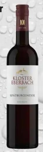 trinkgut Hessische Staatsweingüter Kloster Eberbach Spätburgunder Rotwein Angebot