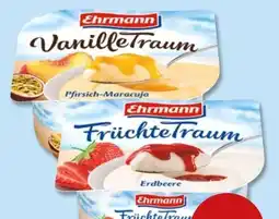 PENNY Ehrmann Vanille Traum Angebot