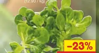 Netto Marken-Discount BioBio Bio Feldsalat Angebot