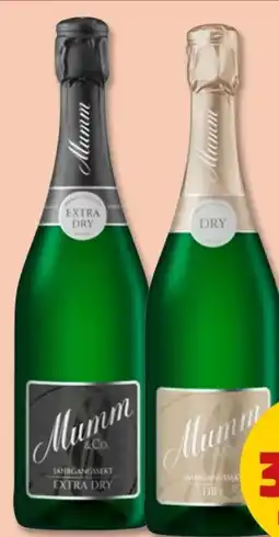 PENNY Mumm & Co. Jahrgangssekt Extra Dry Angebot