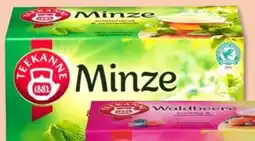 PENNY Teekanne Minze Angebot