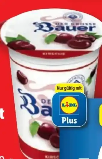 Lidl Bauer Der Grosse Joghurt Angebot