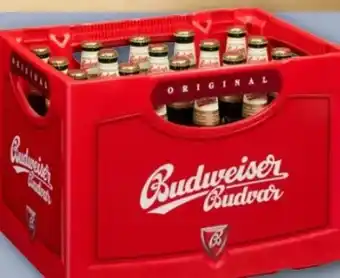 REWE Center Budweiser Budvar (CZ) Original Czech Lager Bier Angebot